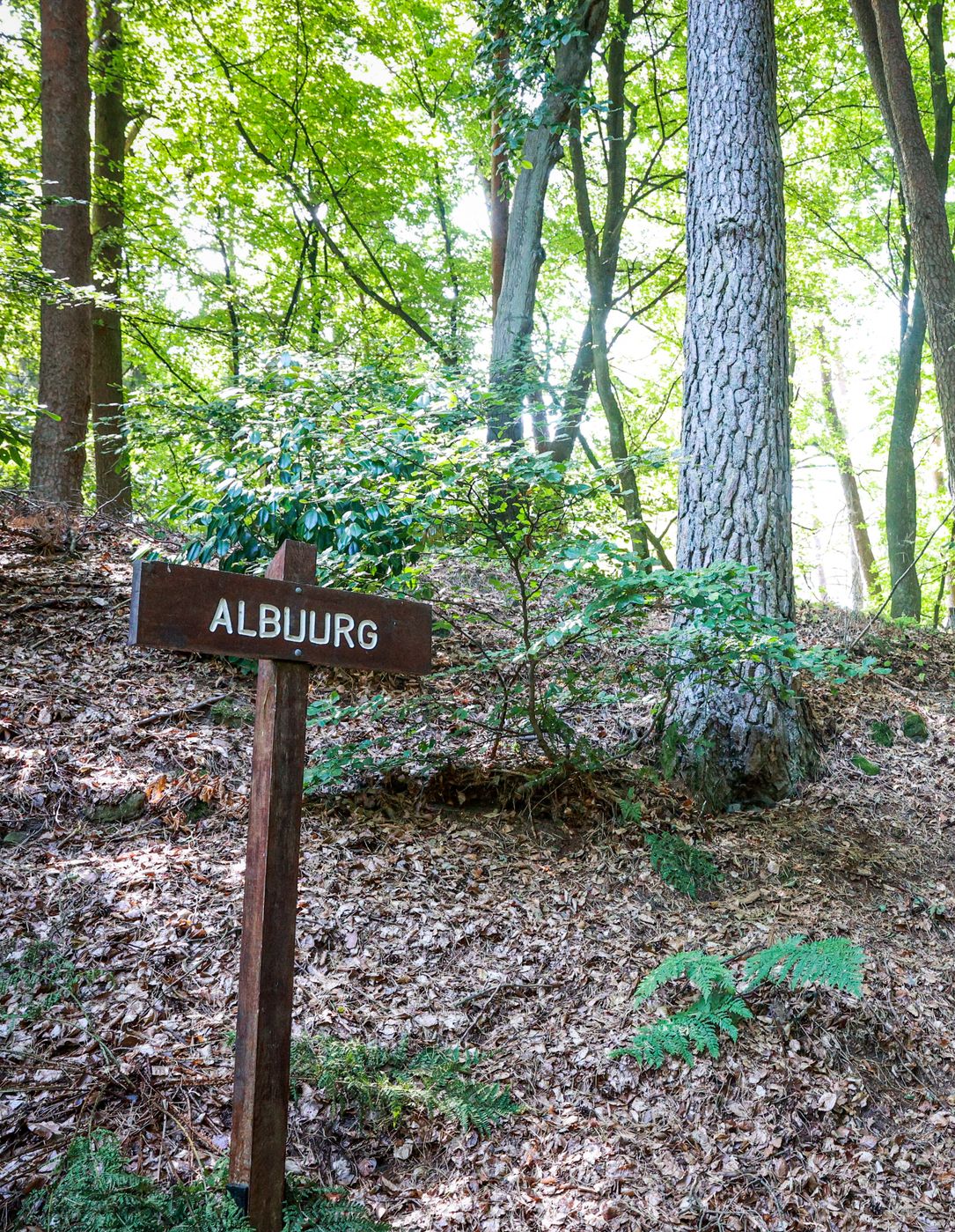 Alebuerg