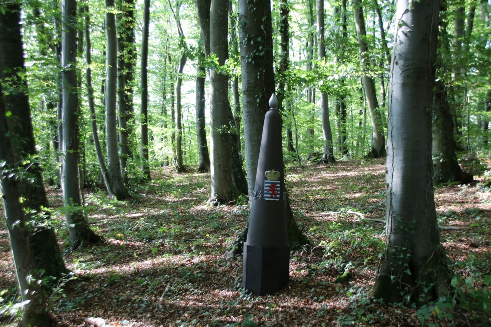 Oberpallen