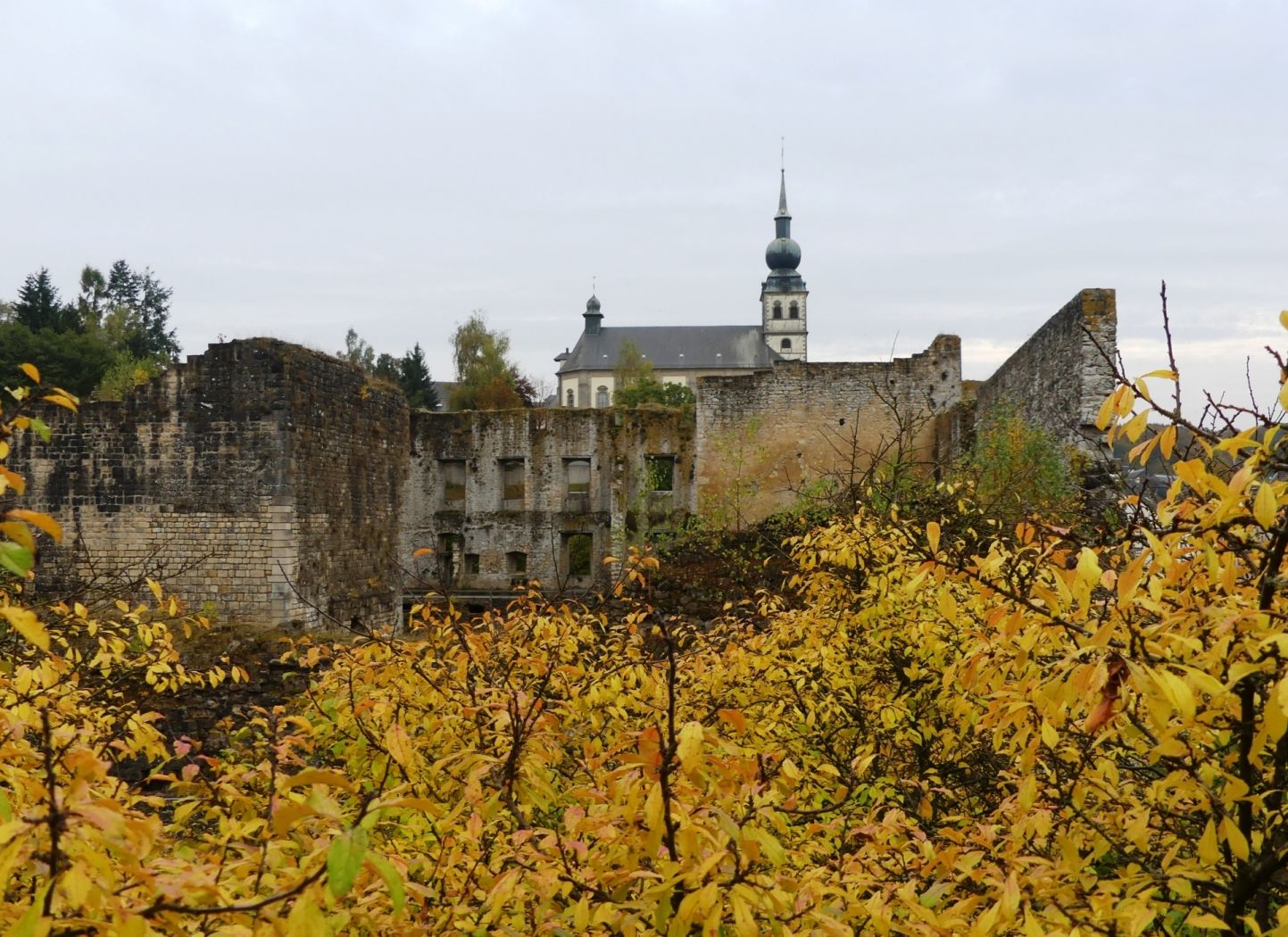 Koerich Greiweschlass