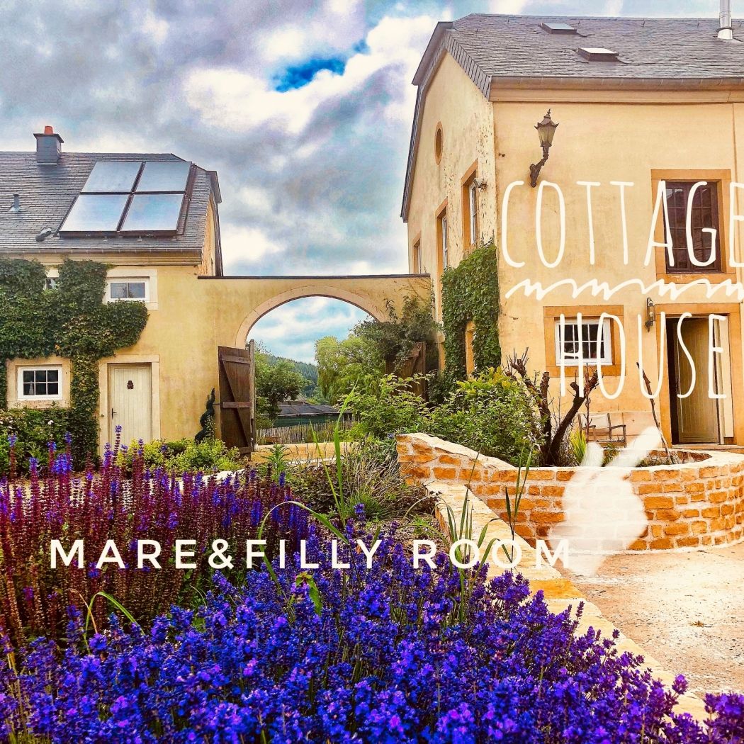 Cottage House Weyer - Mare&Filly