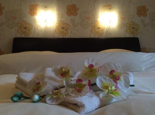 Bed without Breakfast du Chateau - No Breakfast No Meals