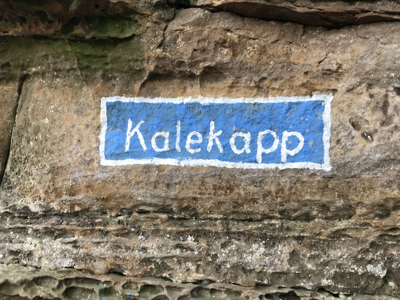 Kalekapp