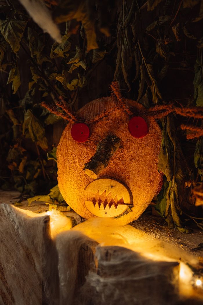 Munshausen Trauliicht 2024