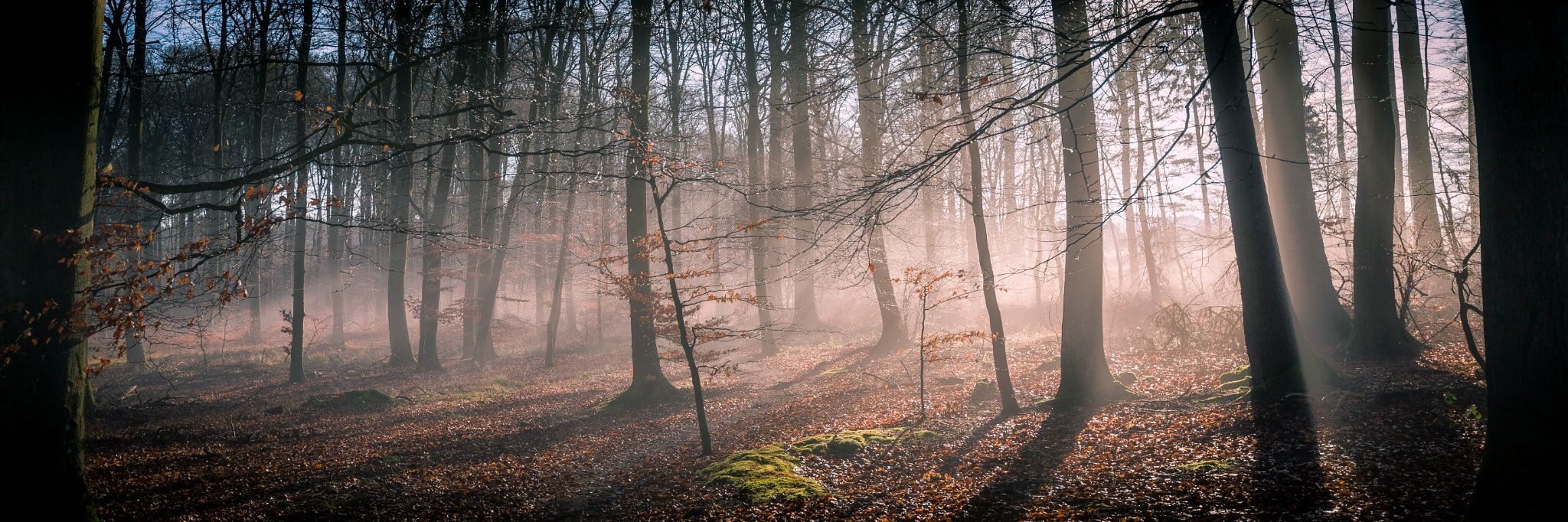 Auto-Pédestre trail Saeul - Visit Luxembourg