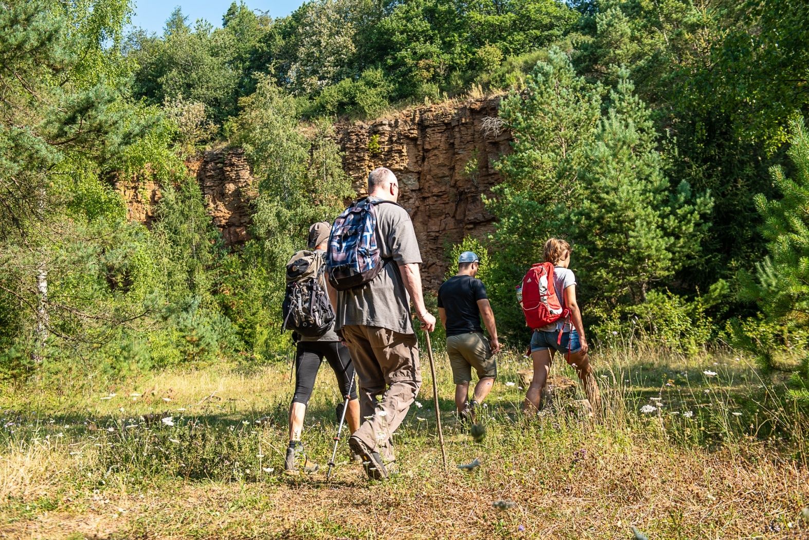 Auf der "Haard" wurde aus einem Tagebaugebiet das größte Naturschutzgebiet des Landes