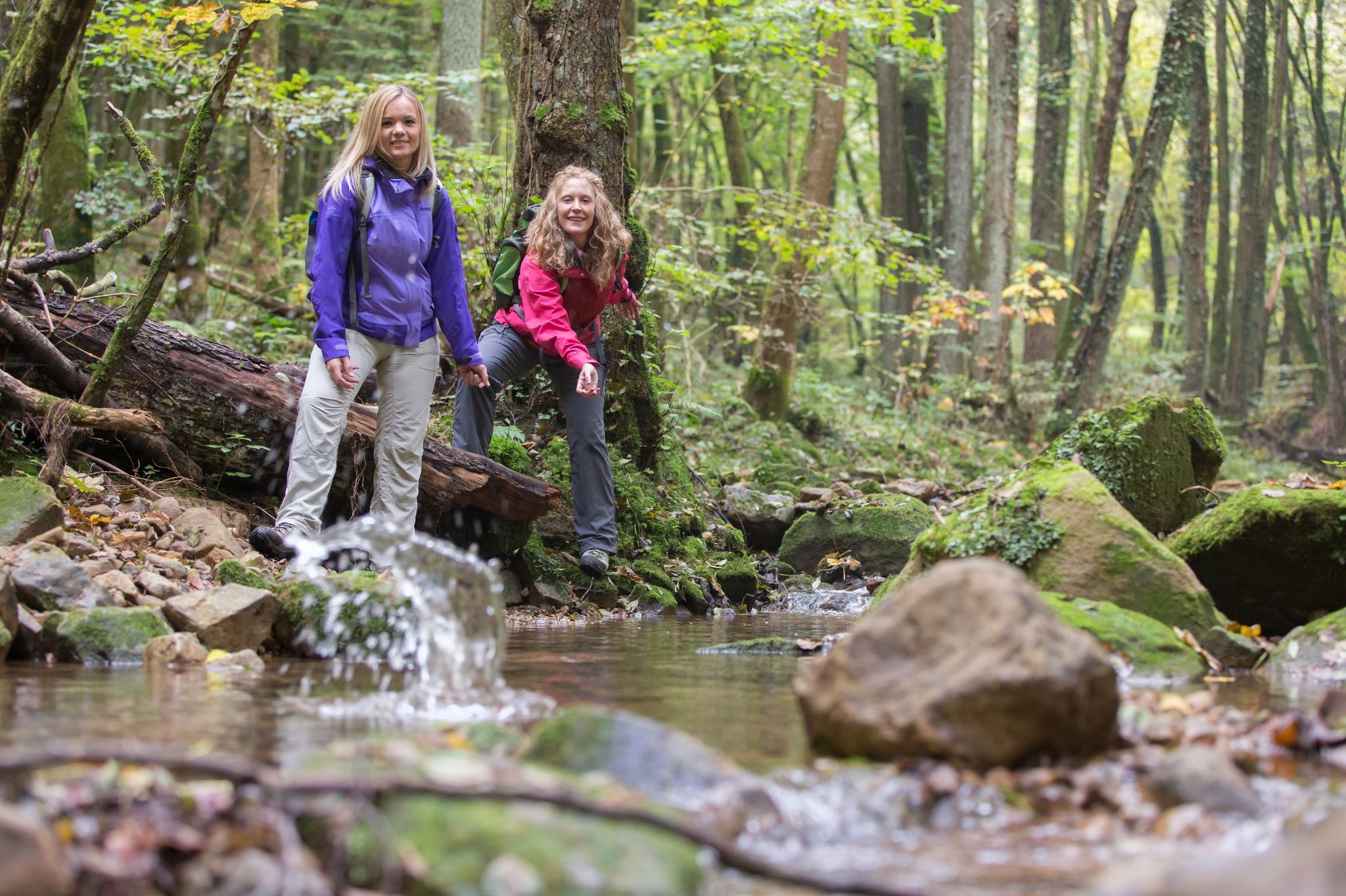 Auto-Pédestre Wanderweg  Echternach Lauterbur
