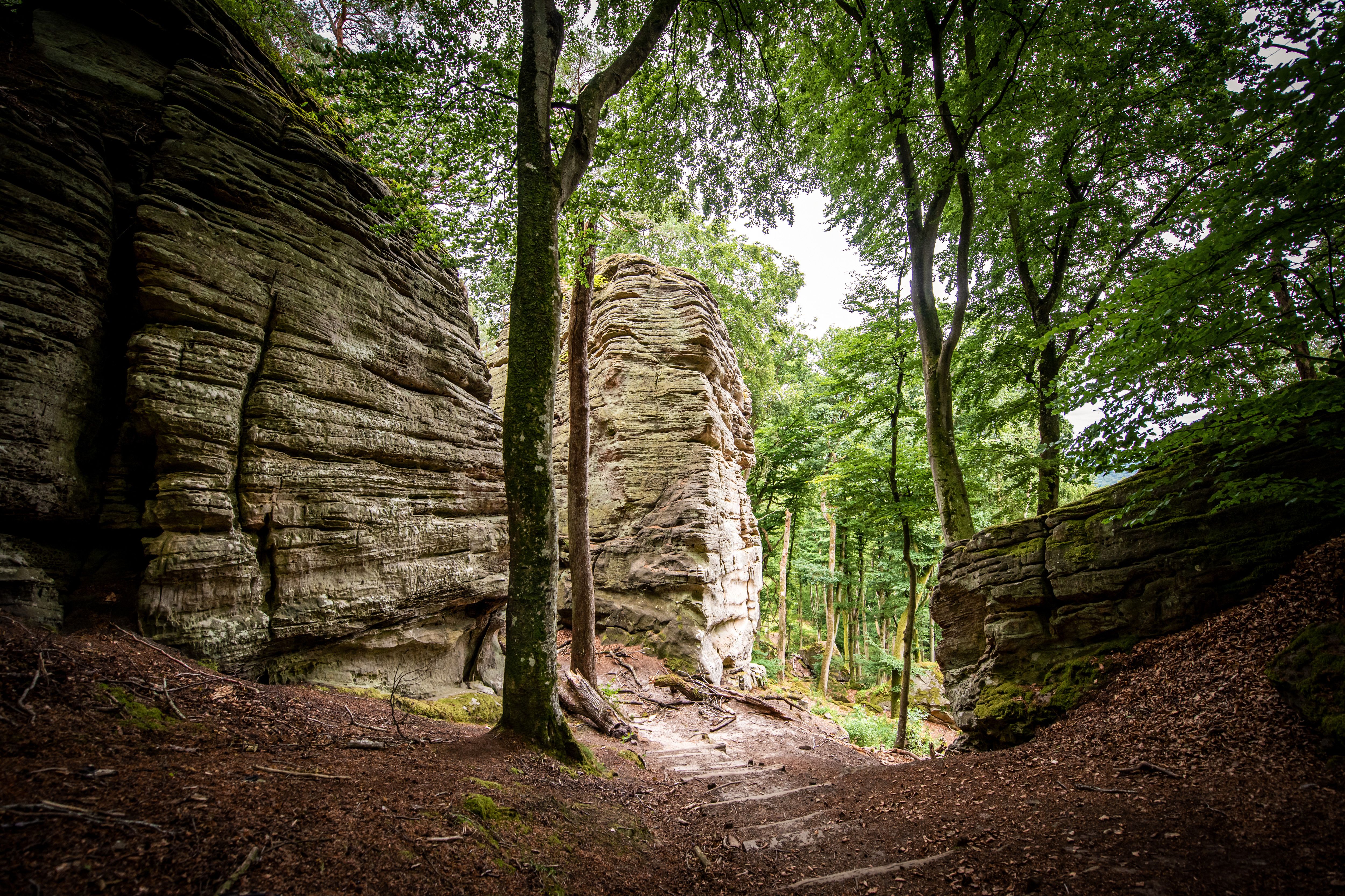 Mullerthal Trail