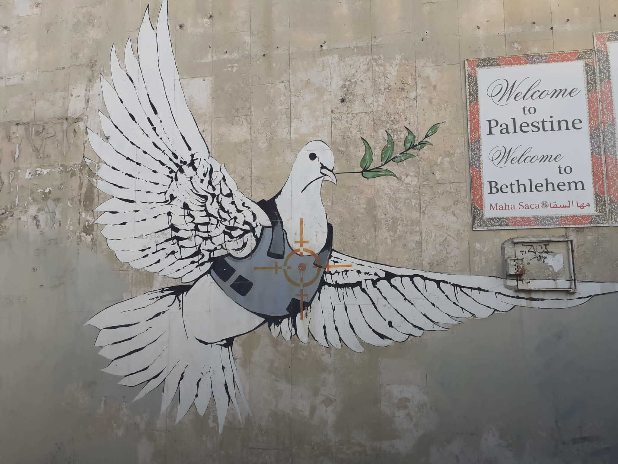 Voyage improbable en Israel Palestine 1
