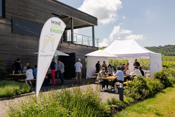 Wine Taste Enjoy
