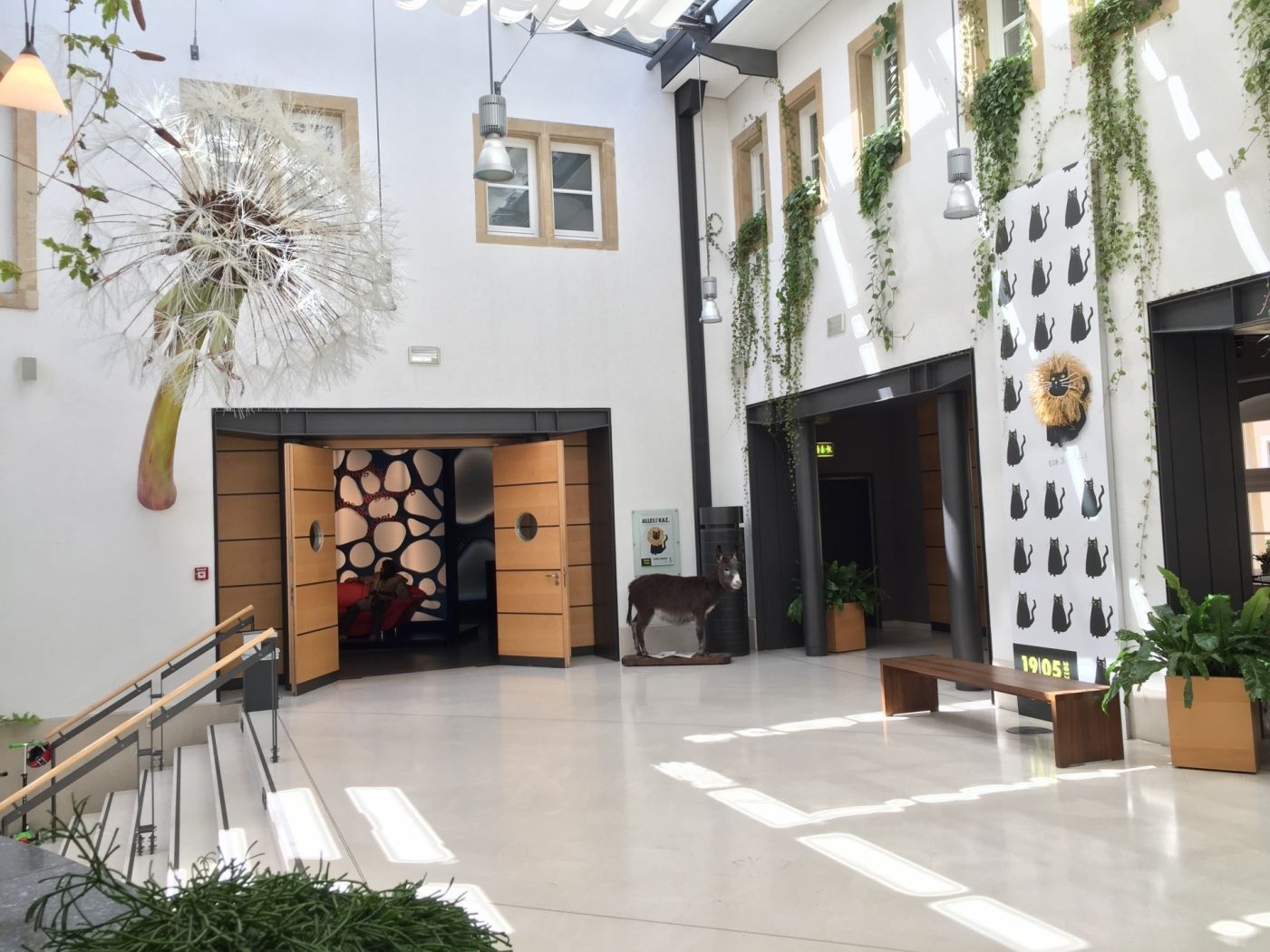 natur musée