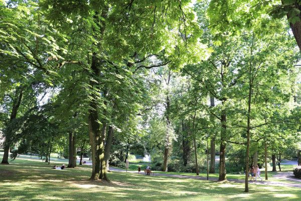 Stadtpark - Parc Municipal