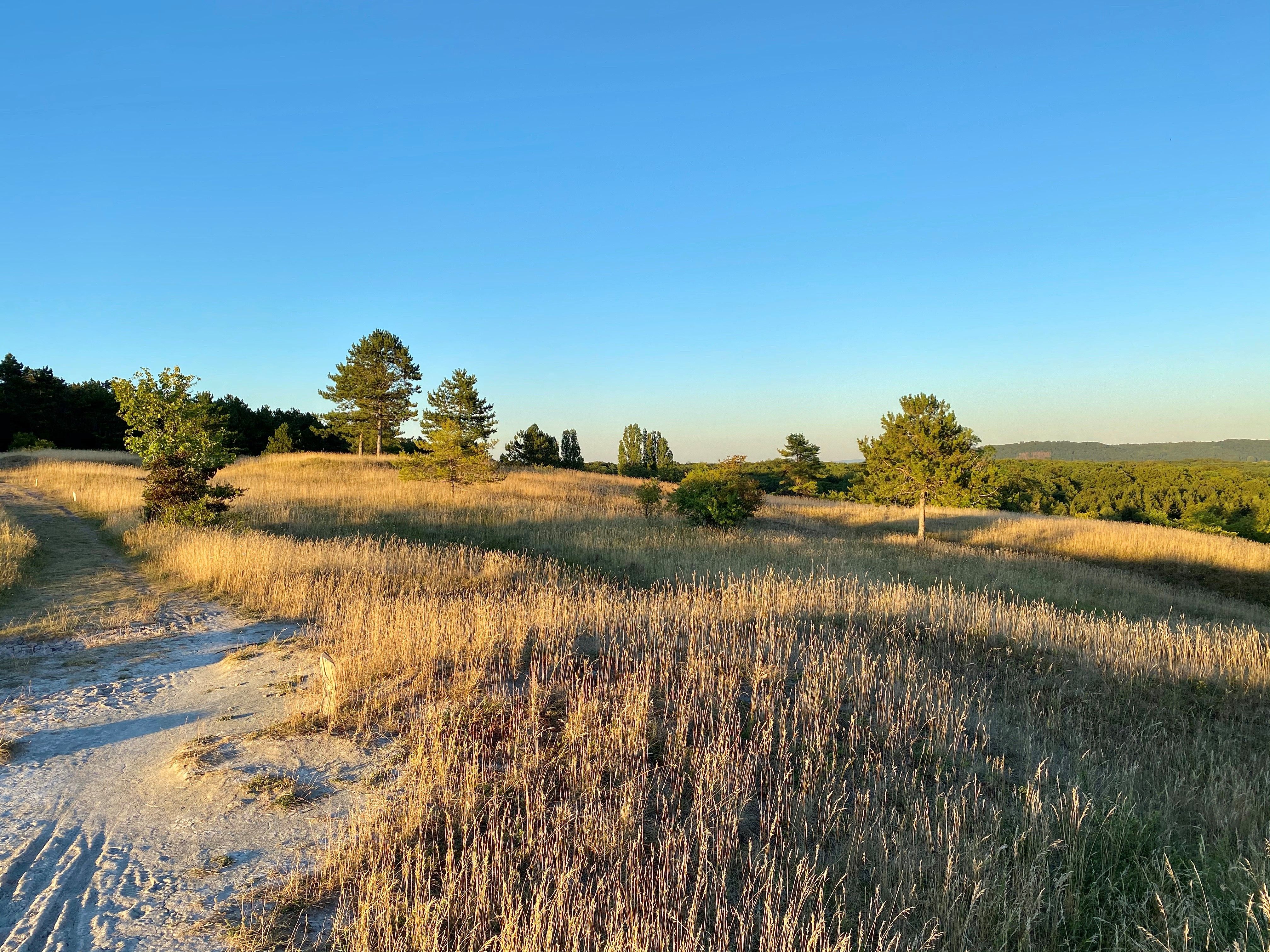 Niederanven Réserve naturelle Aarnescht