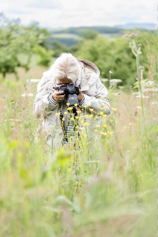 BeeDays Art : atelier de macrophotographie sur les insectes