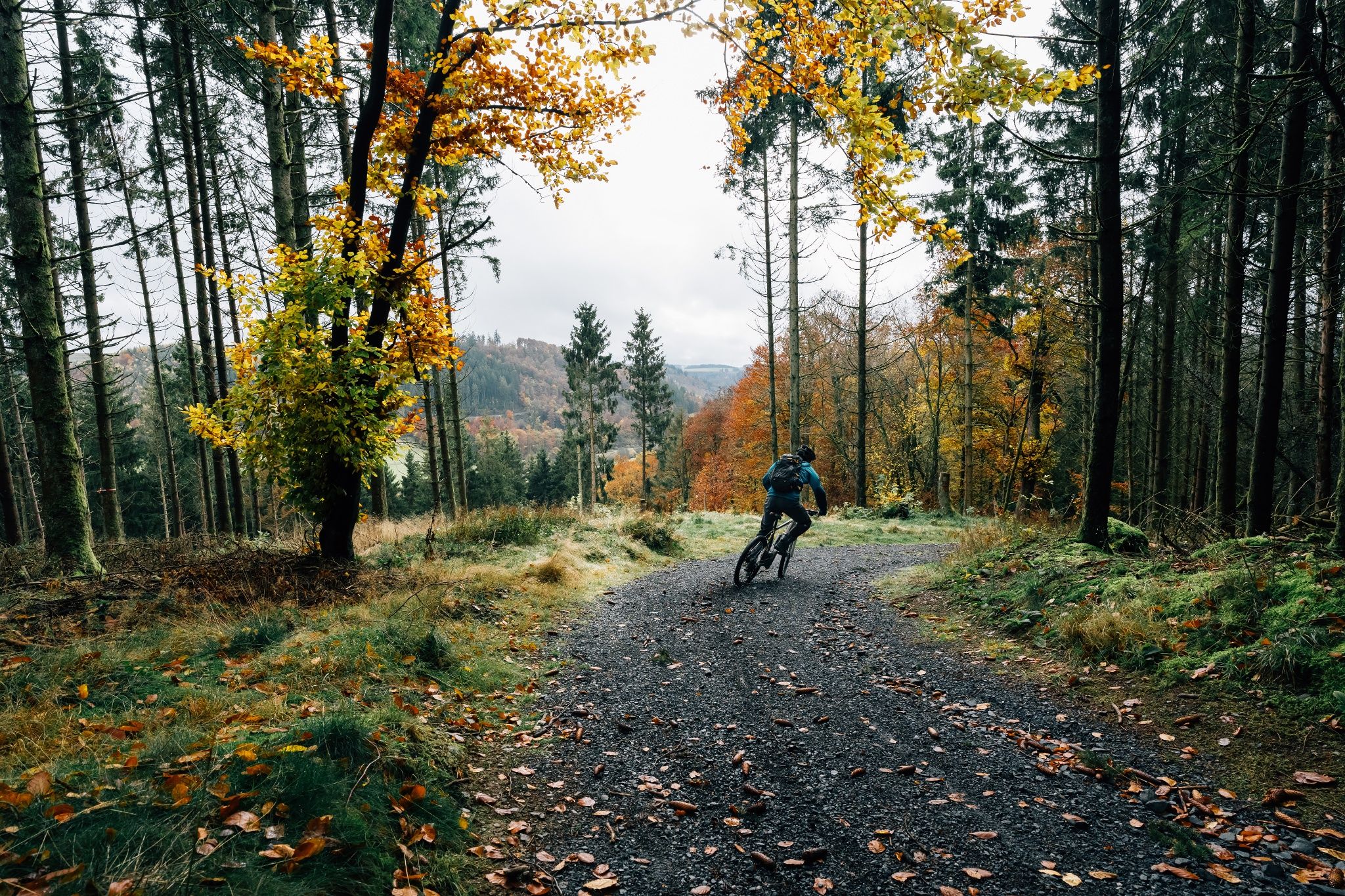 Mountainbike-Tour Rambrouch