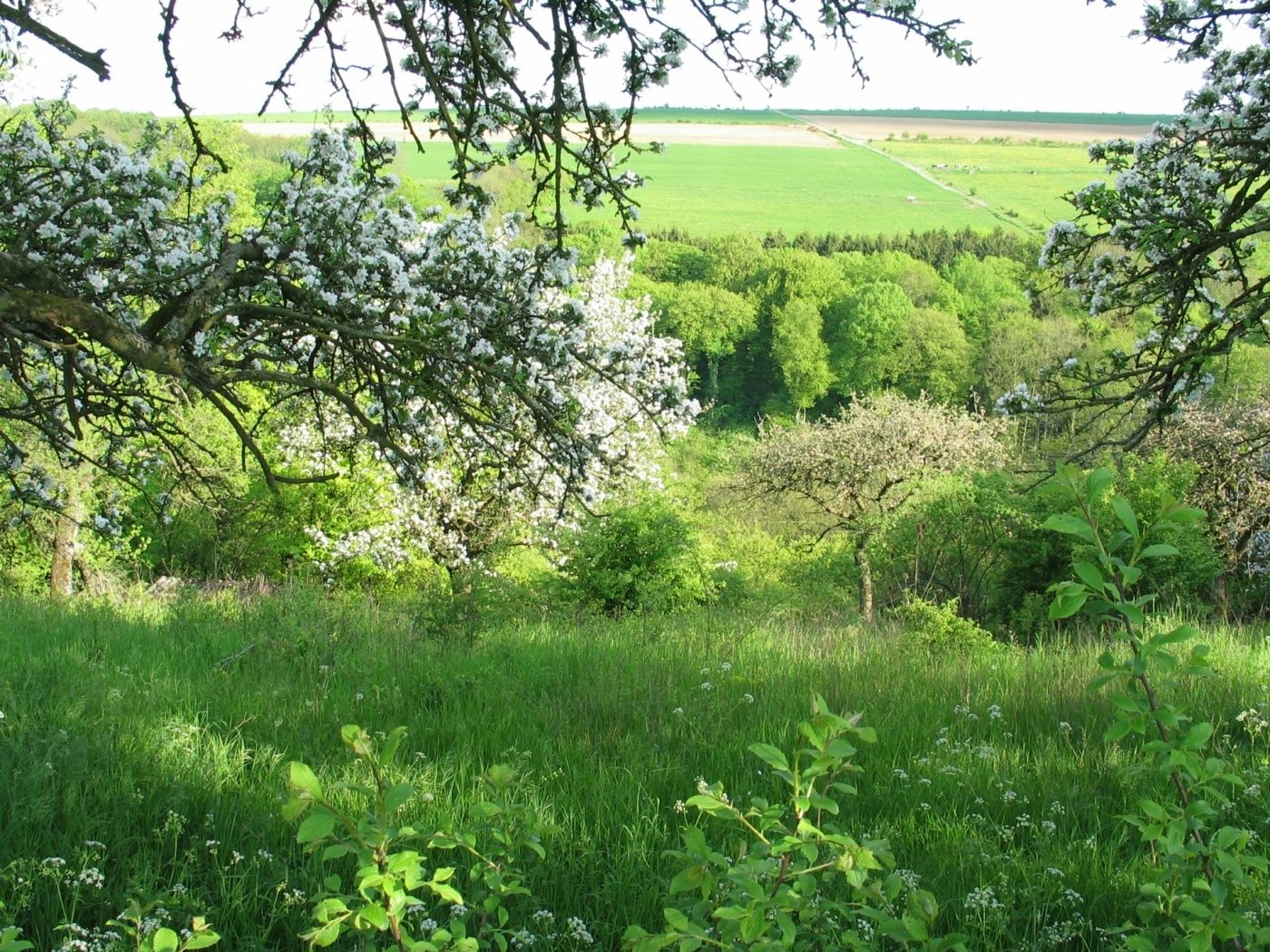 manternach lellig photo camille paulus