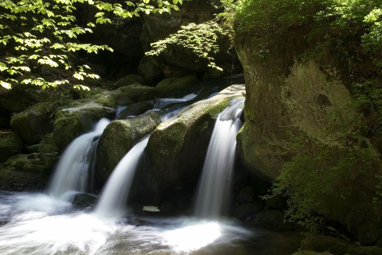 Mullerthal