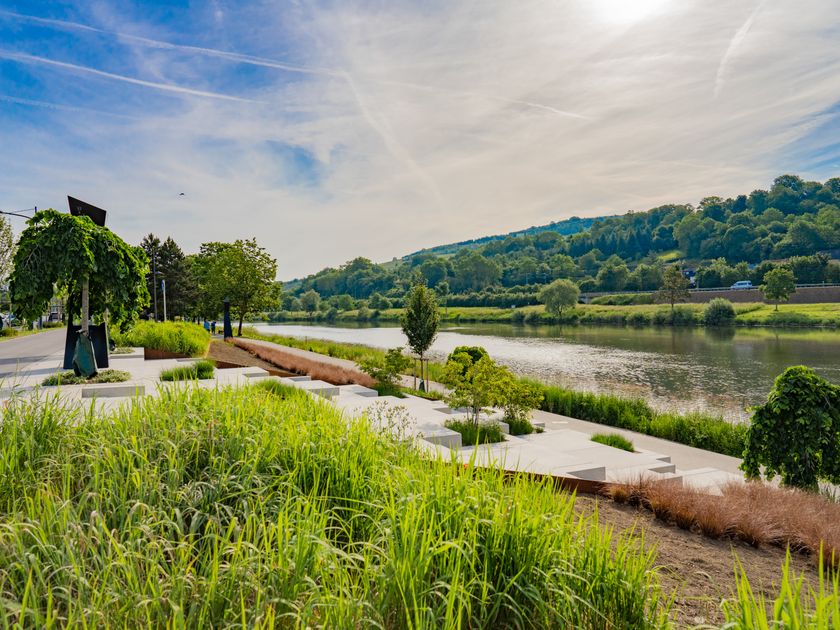 mosel valley tour