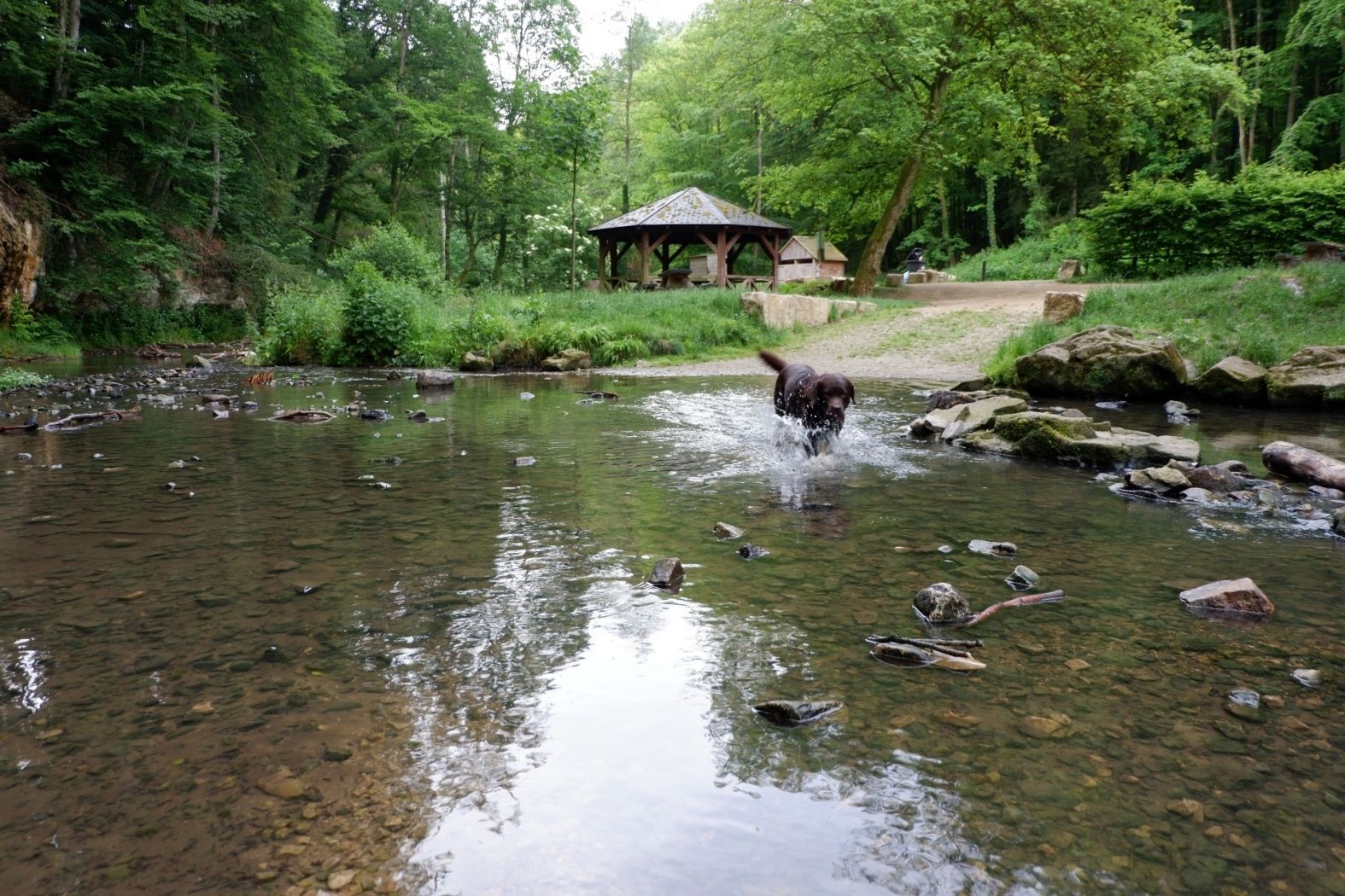op der dreps 05.06.2017 ortco 50