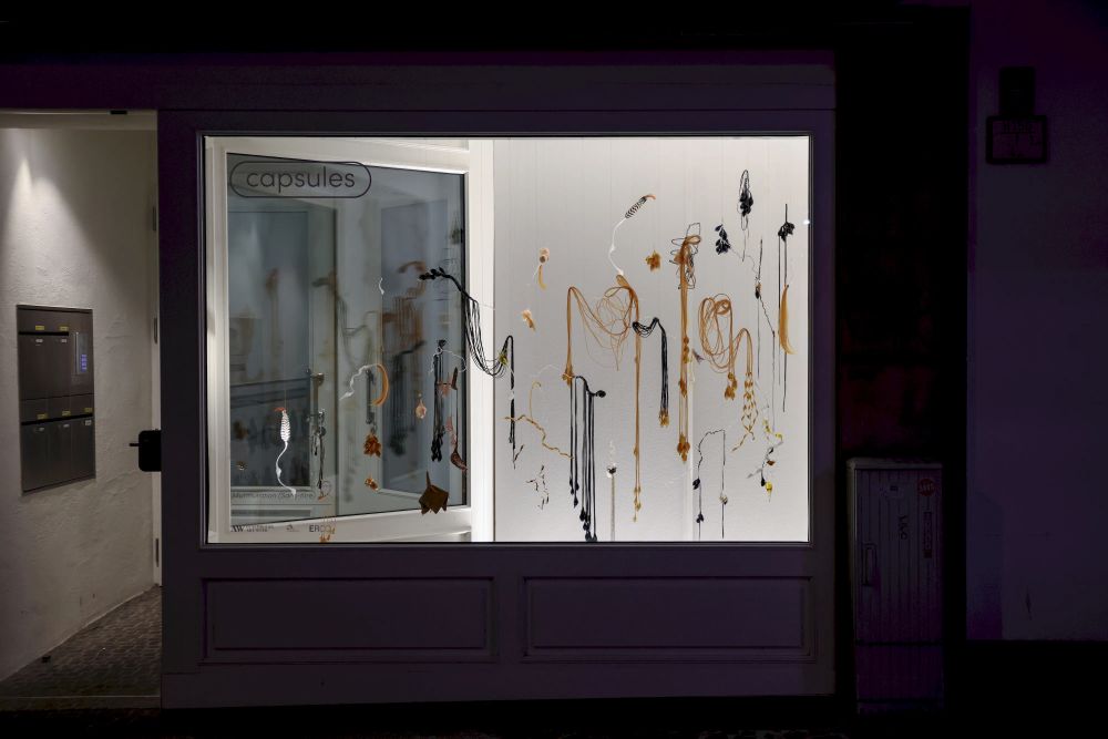 Julie Krakowski, Sans-titre, Capsules