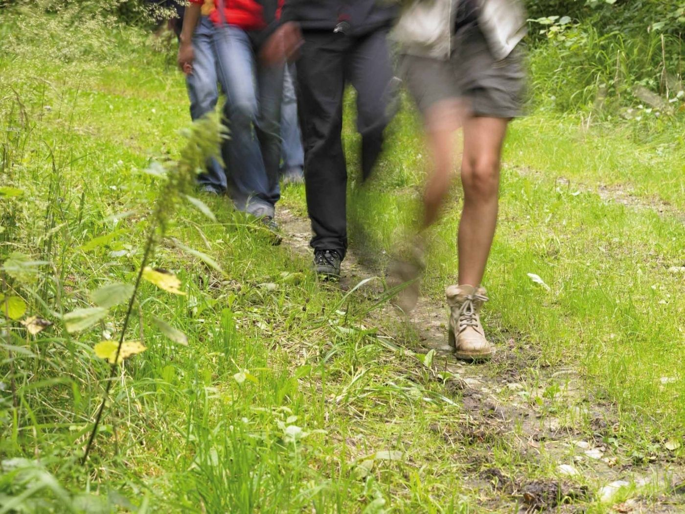 Circular walk Bertrange