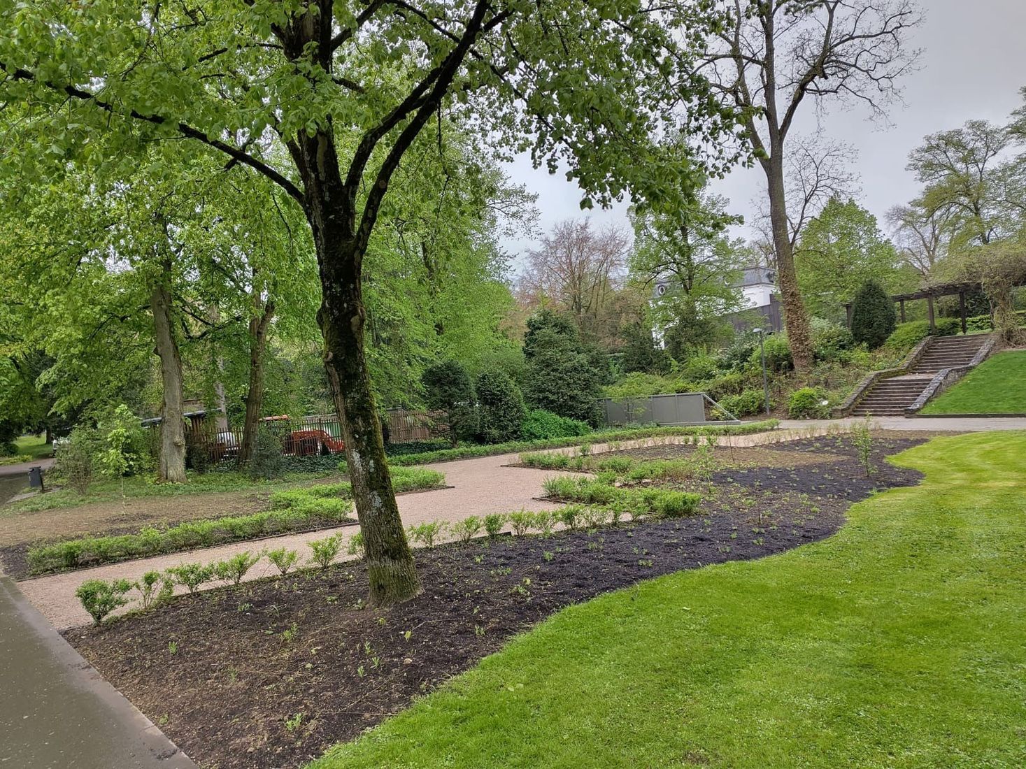 Parc Municipal - Les plantes du Luxembourg