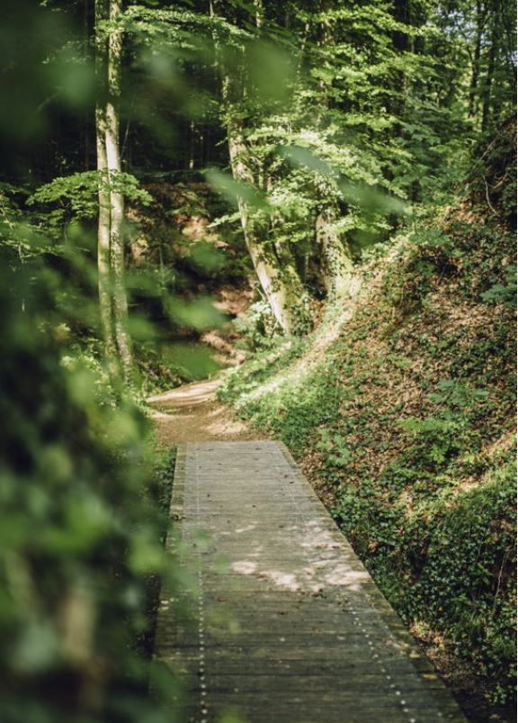Grüne Oase auf dem Guttland.Trail Siwe Brécke-Wee