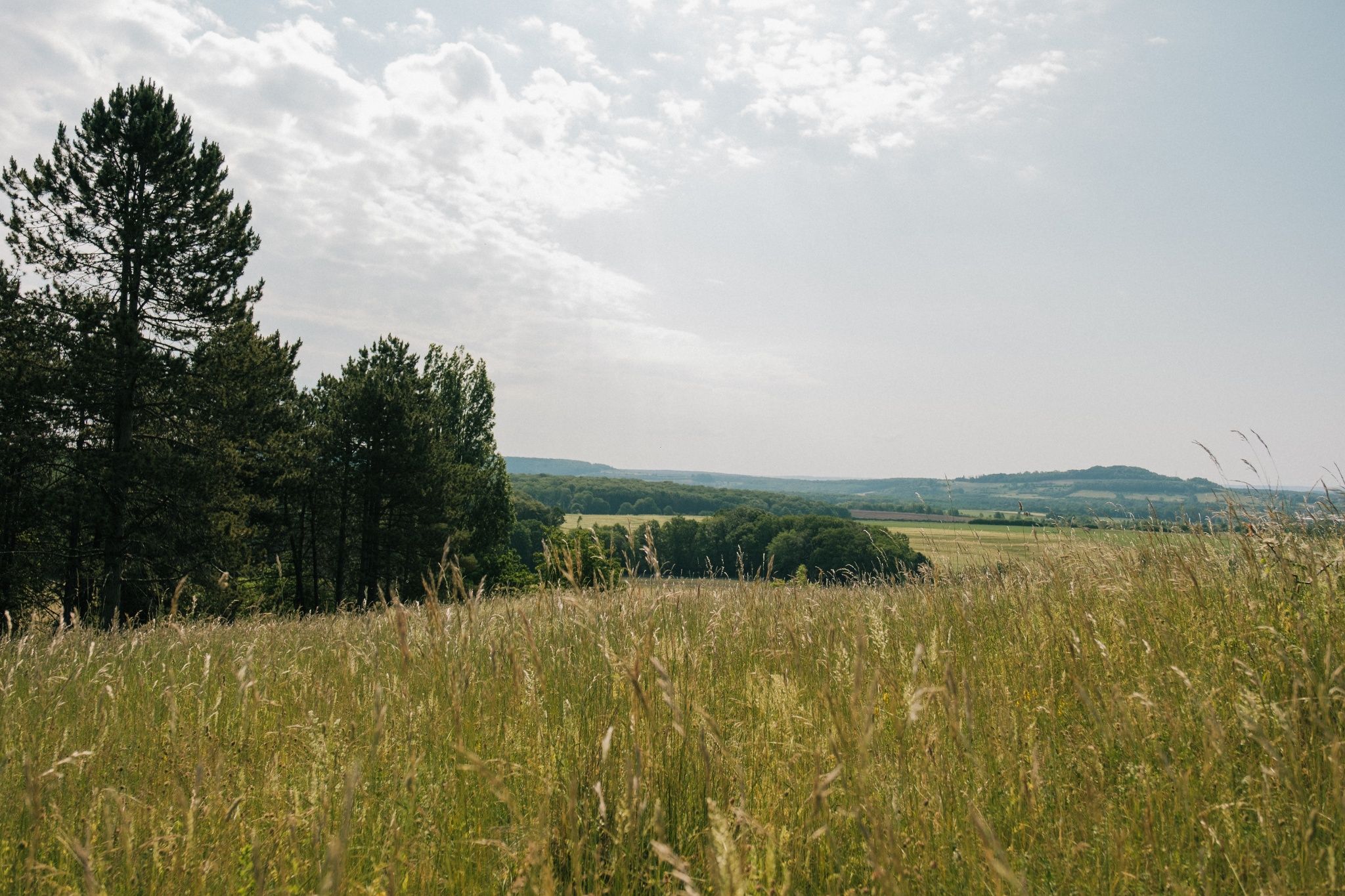 Guttland.Trail Aarnescht