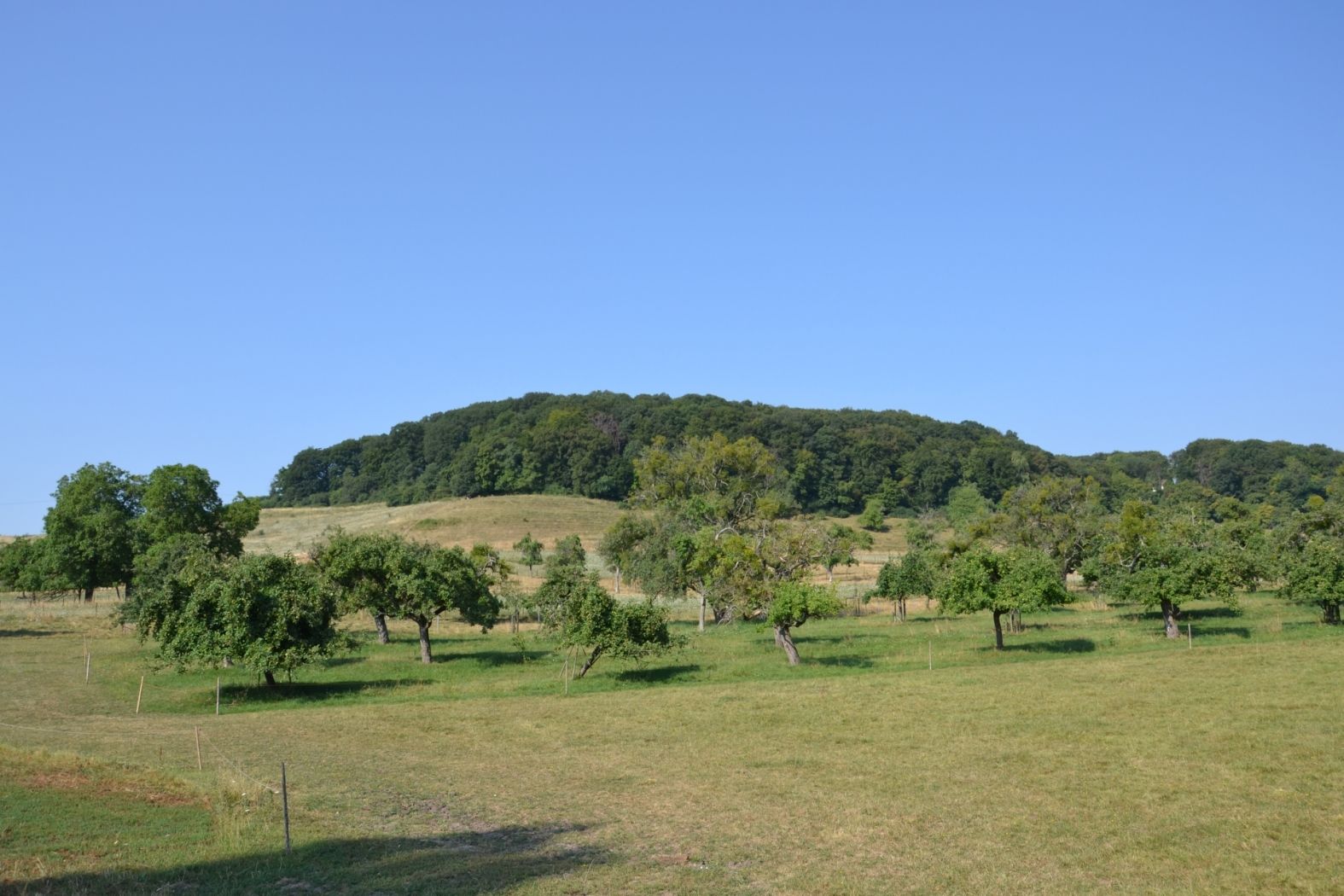 7 small geopark tour zeiebierg 2