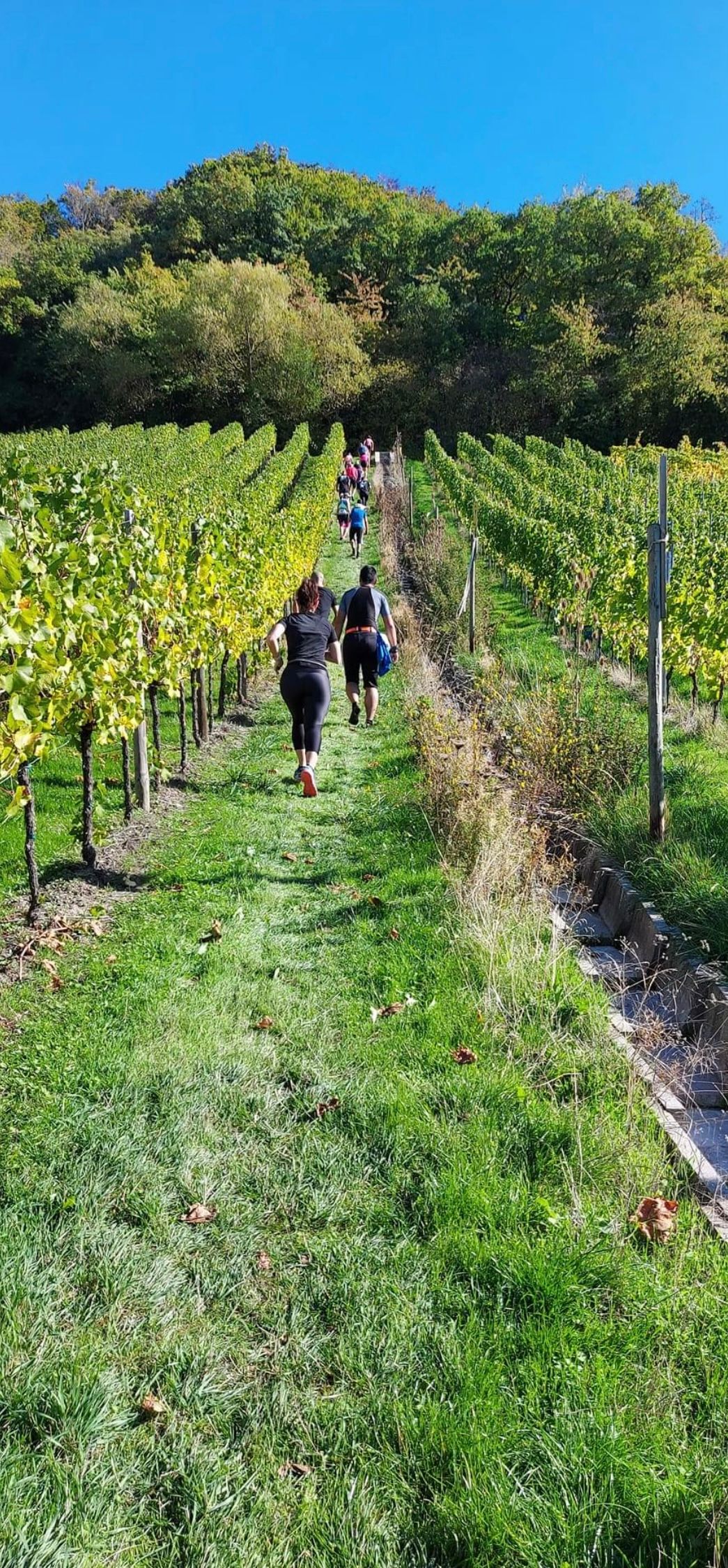 Wengert's Trail