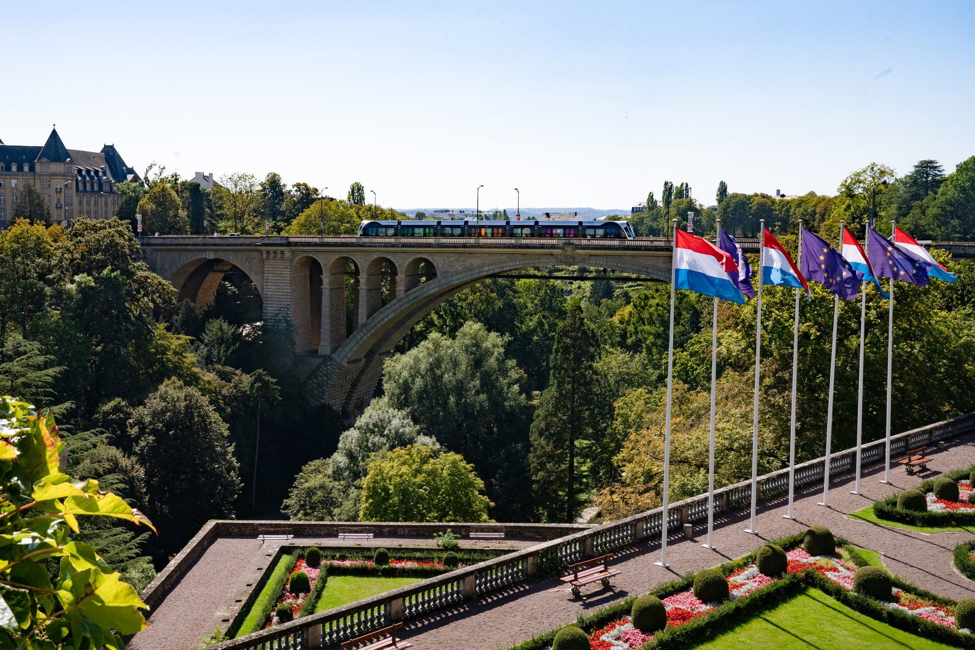 Adolphe Brücke