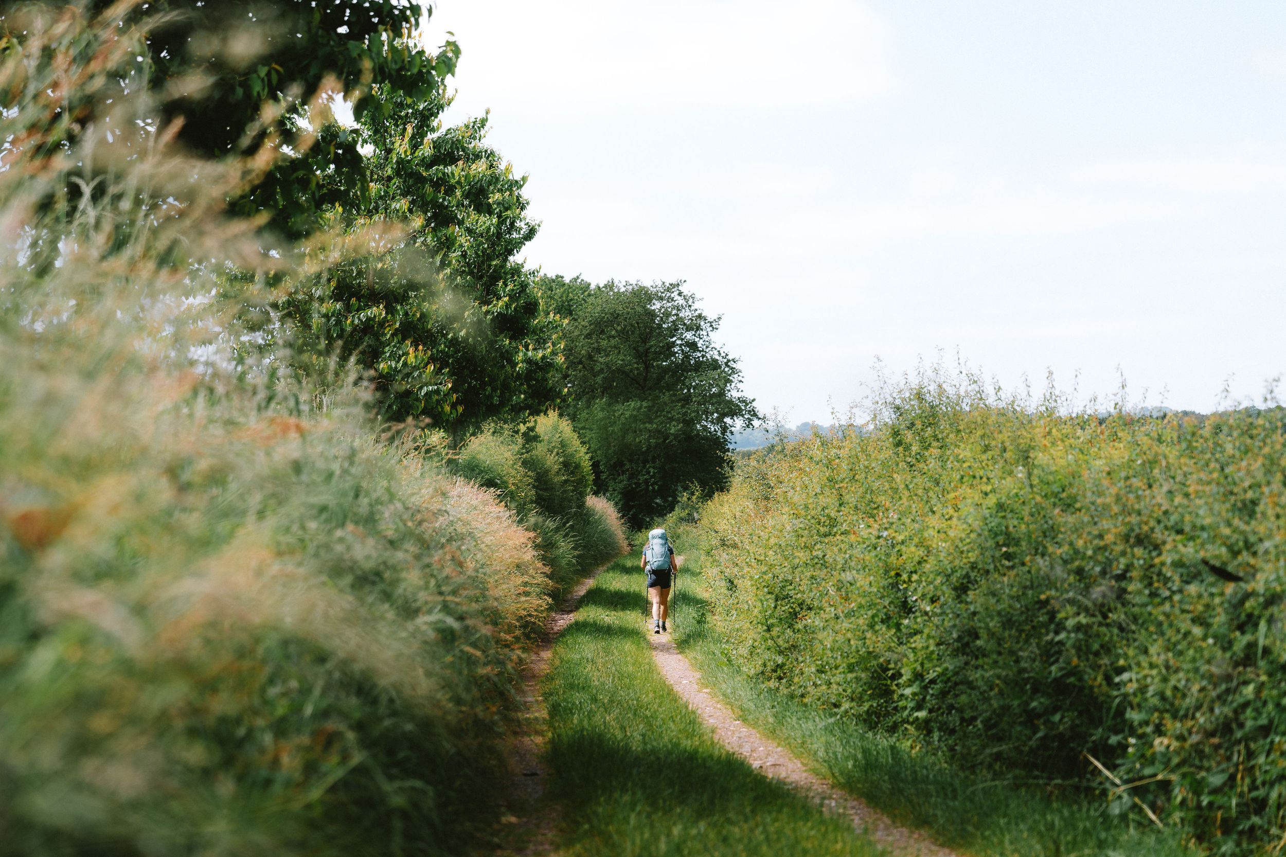 Lee Trail
