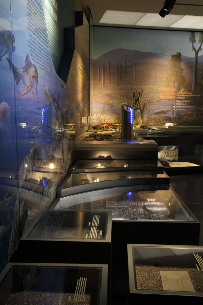 natur musée