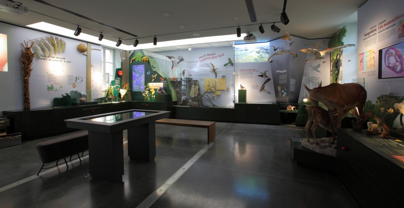 natur musée