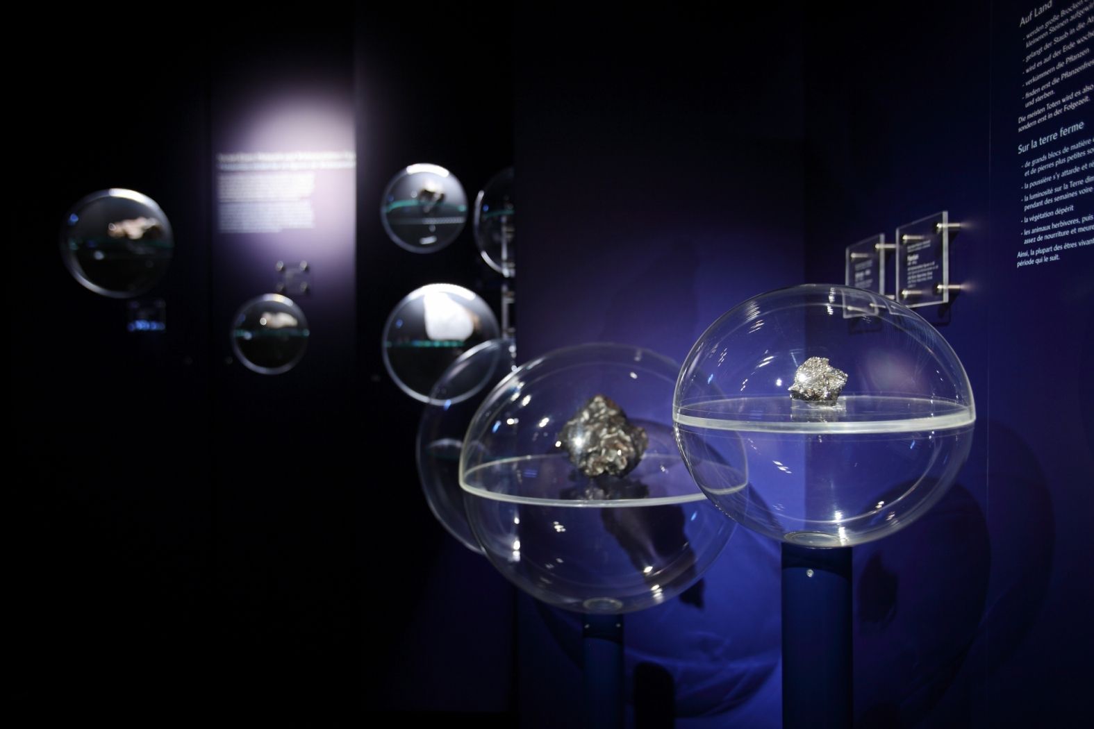 natur musée