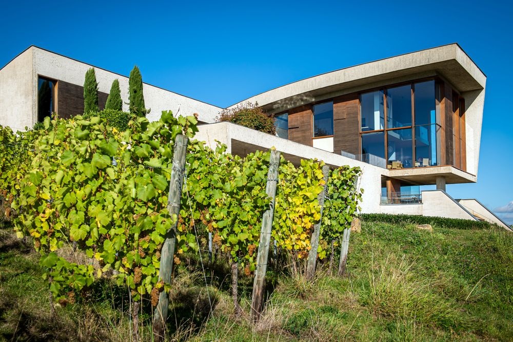 Domaine Henri Ruppert