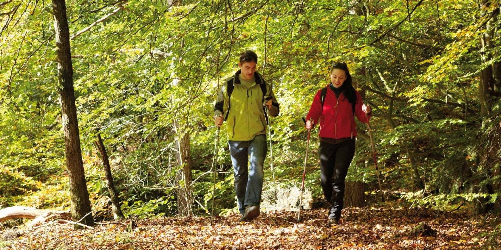 Circular walk Dippach