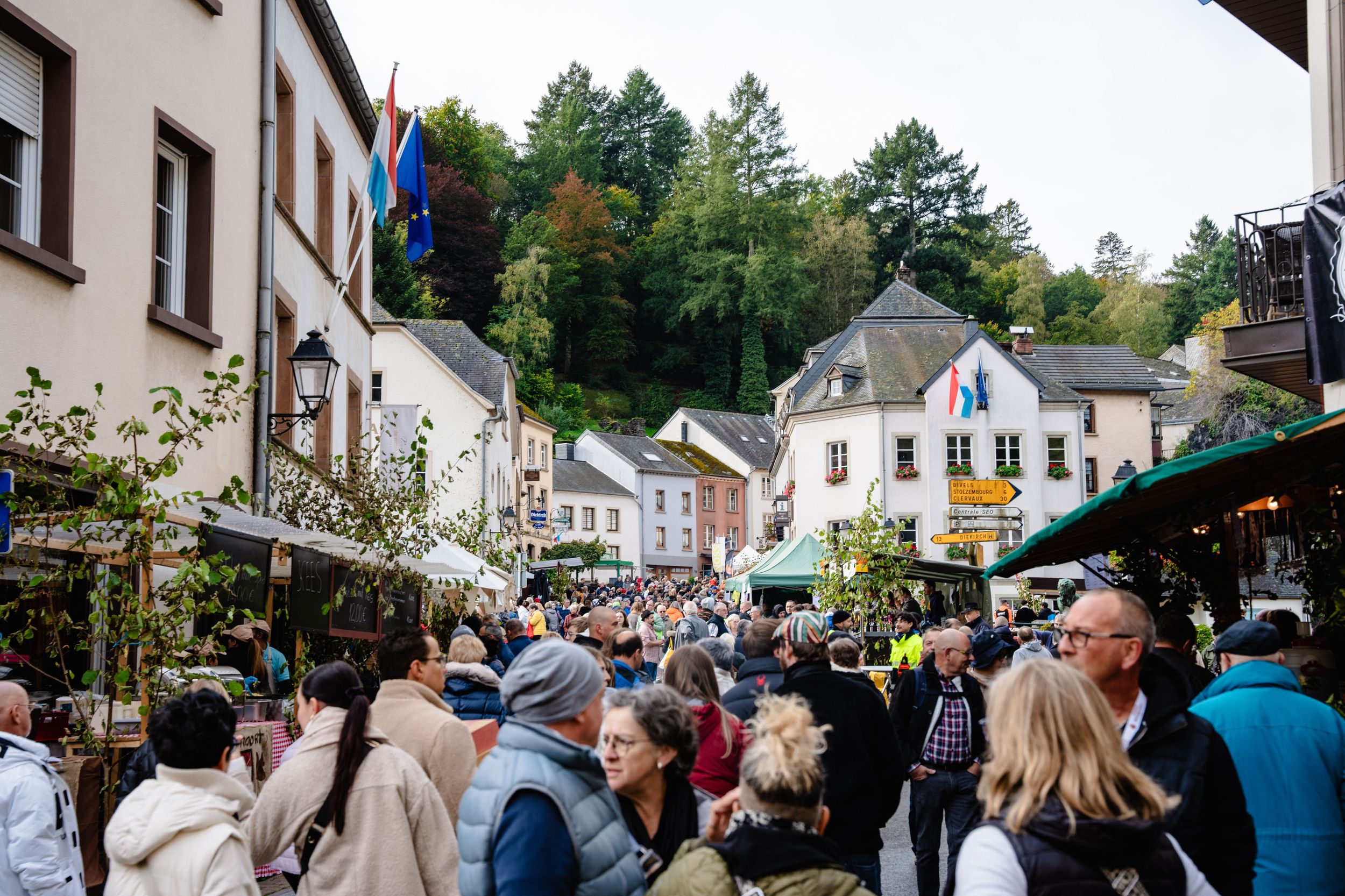 Vianden Nëssmoort