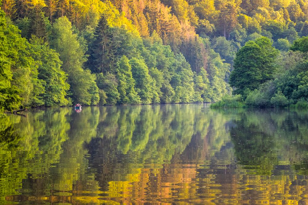 Lac de la Haute-Sûre