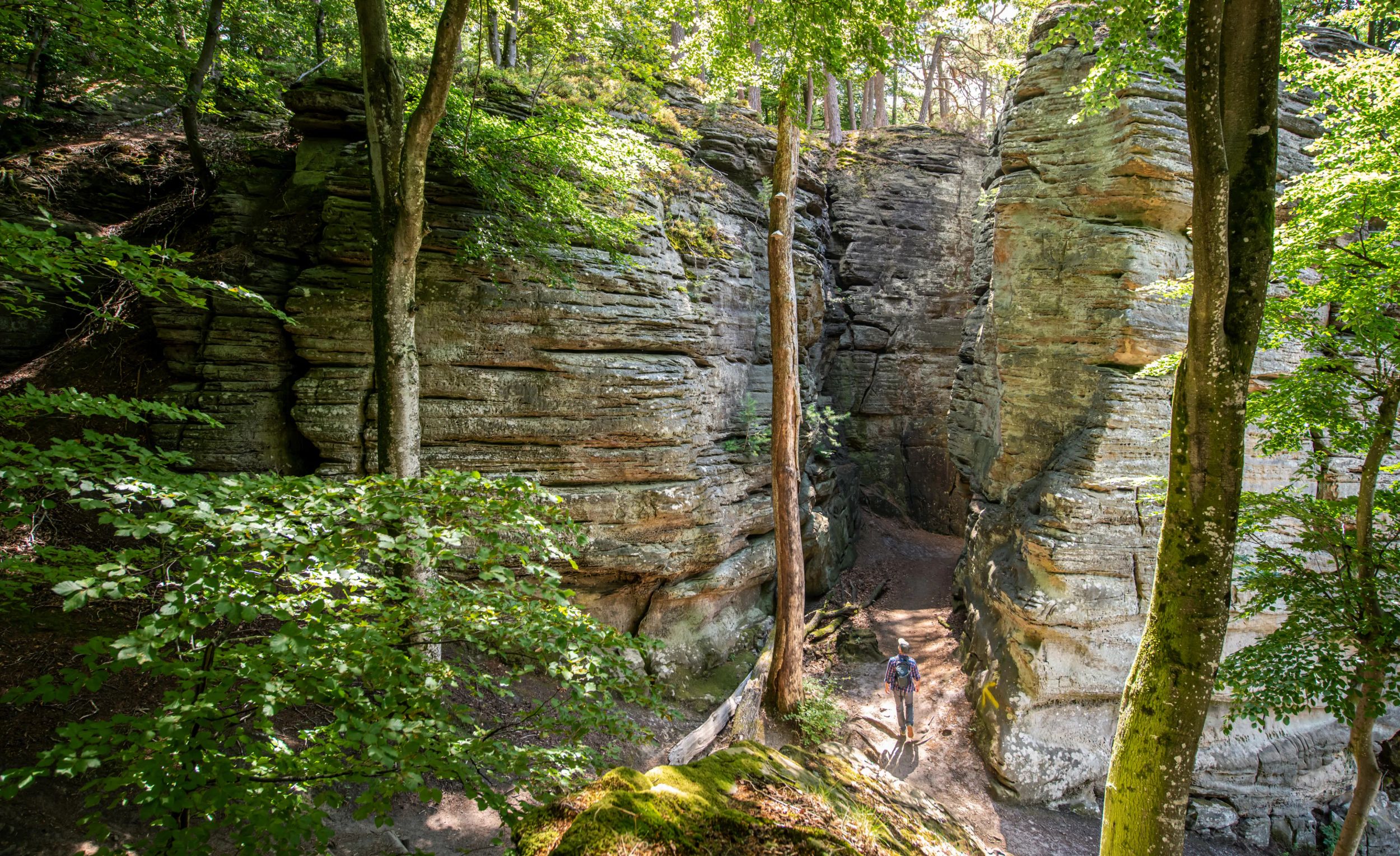 Mullerthal Trail
