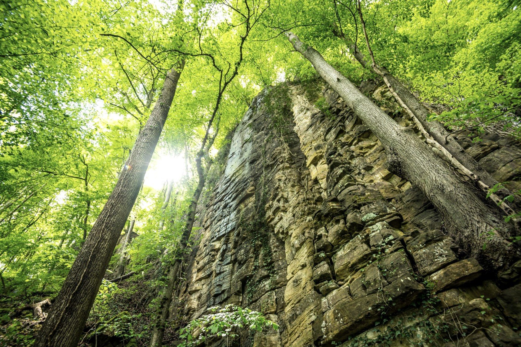 Beeindruckende Felswand in der Wolfsschlucht am Felsenweg 3, © Eifel Tourismus GmbH, D. Ketz