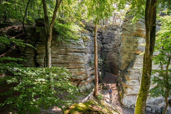 Mullerthal Trail
