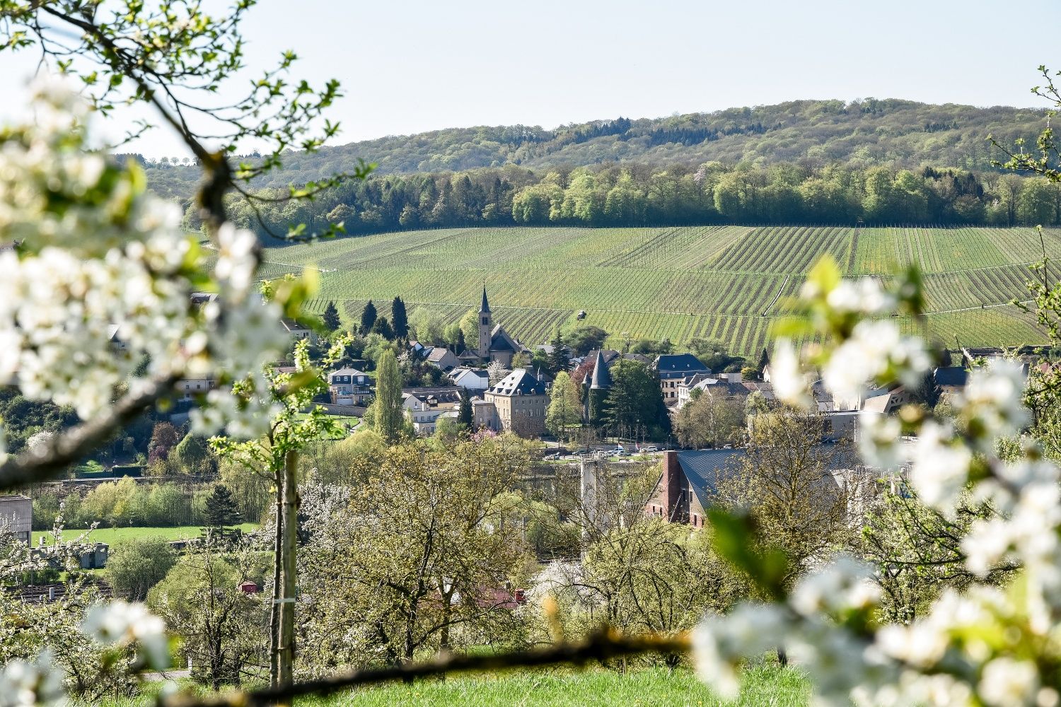 Blick auf Schengen (LUX)