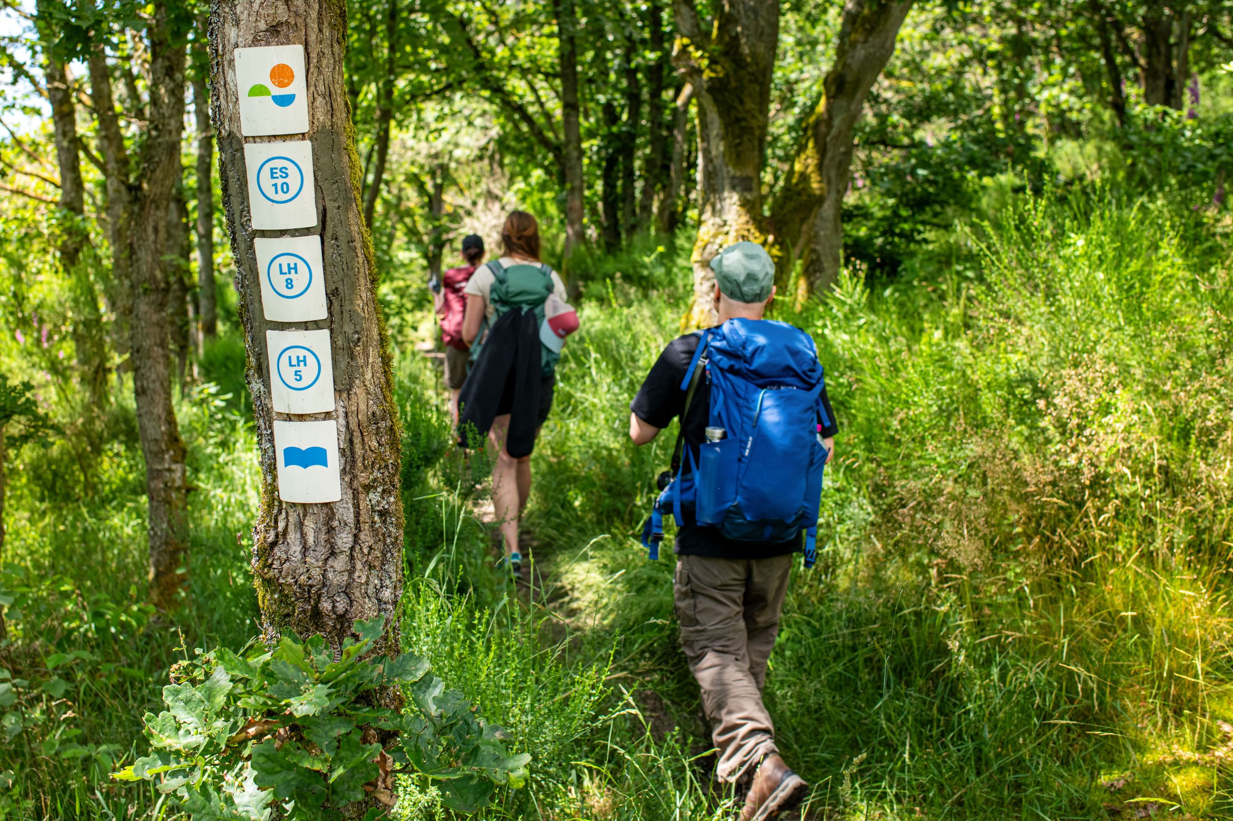 Obersauer Stausee Wandern