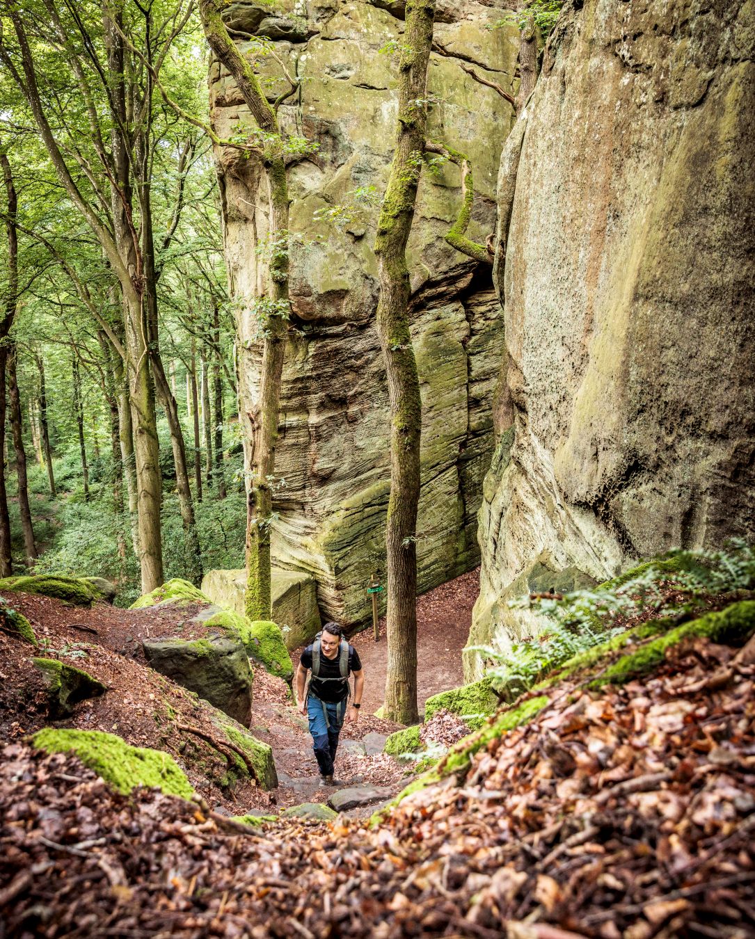 Mullerthal Hiking