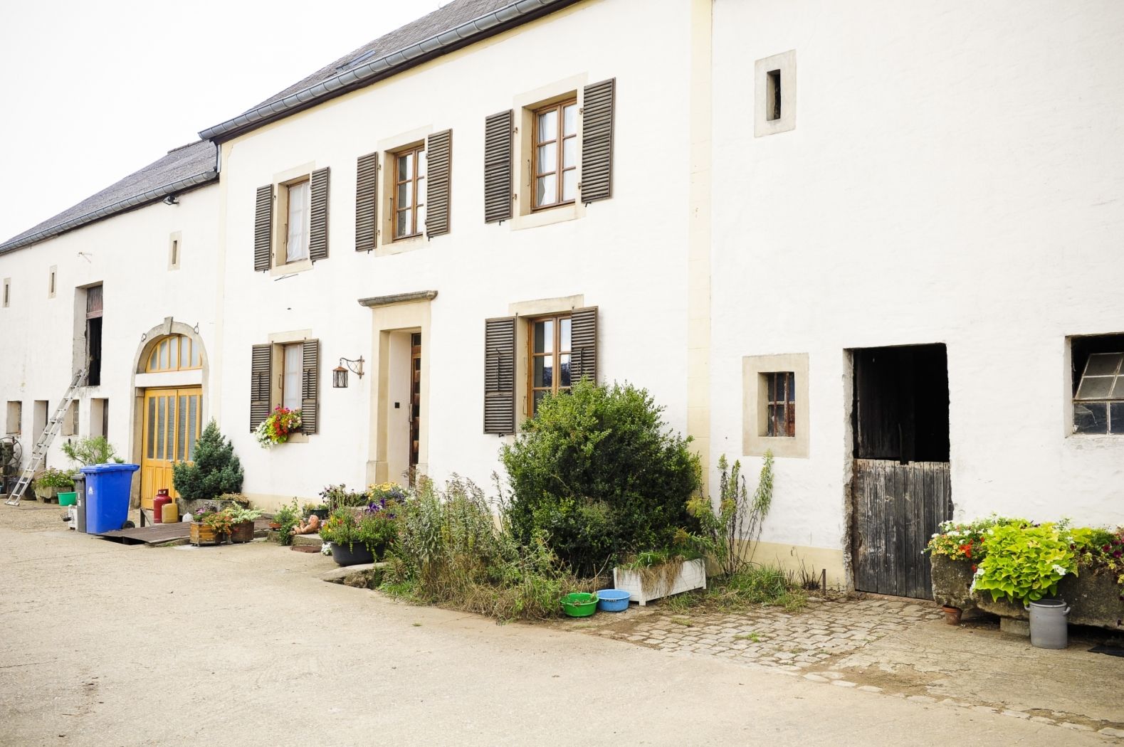 Familie Zimmer-Schroeder