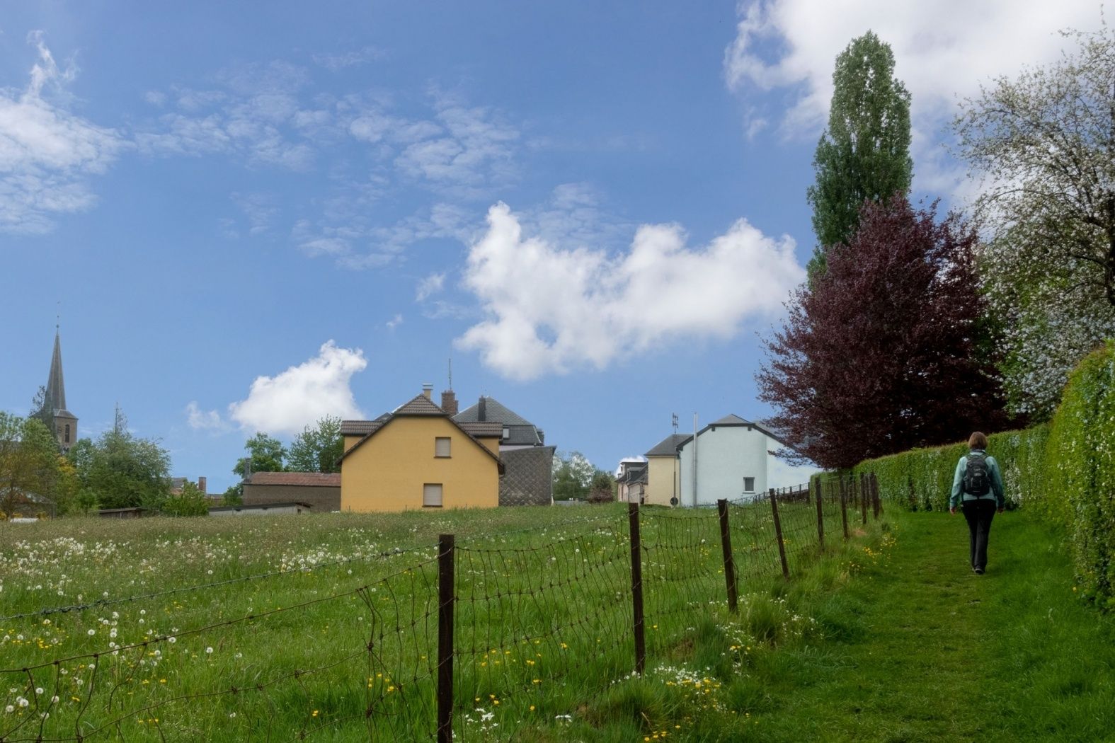 c1 consdorf orjeco 20200504 1600