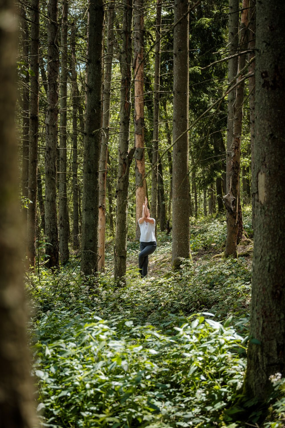 Yoga Trails Luxembourg