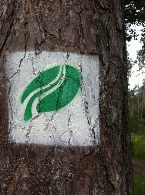 Beispiel für Markierung an Baum oder Fels
