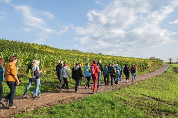 Hiking Moselle