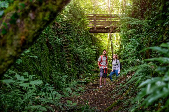 Minett Trail